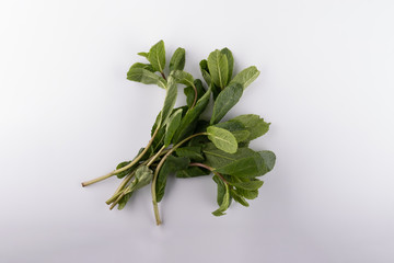 fresh mint leaves isolated on white background. close up