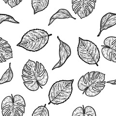 Seamless set rose, lily and monstera leaf, isolated plant.