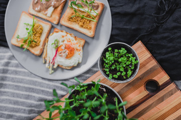 Variety of sandwiches for breakfast, snack, appetizers with fried egg, peanut paste, pea microgreen. Flat lay, top view