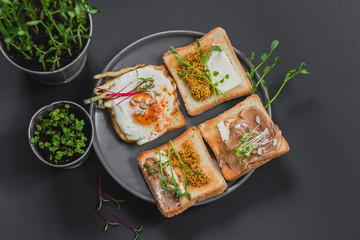 Variety of sandwiches for breakfast, snack, appetizers with fried egg, peanut paste, pea microgreen. Flat lay, top view