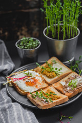 Variety of sandwiches for breakfast, snack, appetizers with fried egg, peanut paste, pea microgreen. Flat lay, top view