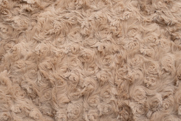 macro beige soft fluffy fabric with twisted roses as a background or wallpaper