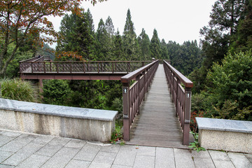 Fototapeta na wymiar The wood sky walkway in alishan national park at taiwan.