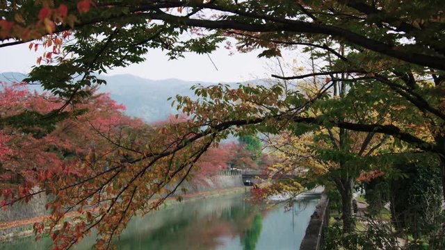 Trees hang over a river or canal in Kyoto Japan. It is autumn and the leaves are turning from green to red. A mountain is in background