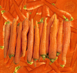 Fresh carrots on a canvas background
