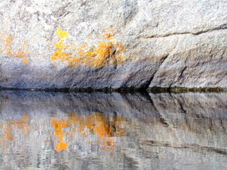 KODAK Digital Still Camera