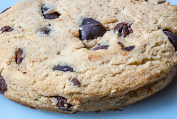 Chocolate chip cookie on a blue background