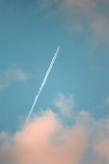Naklejka na ściany i meble cielo azul con un avión 