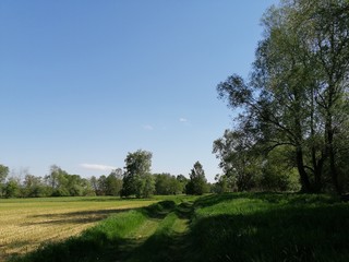 Fieldpath and riding-route on riverlane