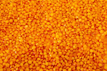 background with lentils. Lots of lentils.