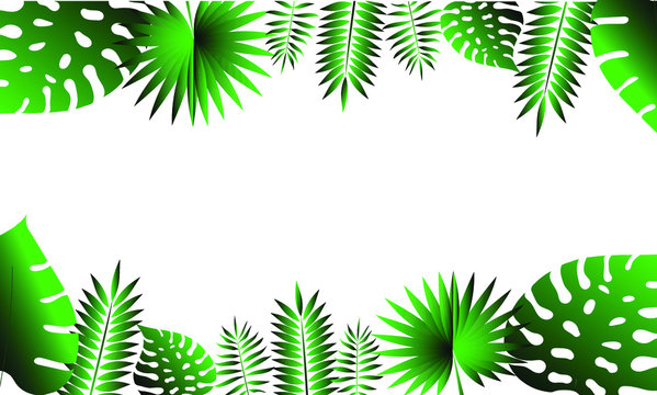 Frame of palm leaves, tropical hawaii jungle on the background. Vector illustration