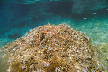 Underwater view of the Ieranto beach, in the southern Italy, Sorrento. The shot is takend during a sunny summer day, with rays of light coming inside the water. Amalfitana, Npoli coast