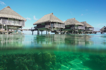 Overwater Bungalows in Moorea French Polynesia with a View Underwater of the Reef