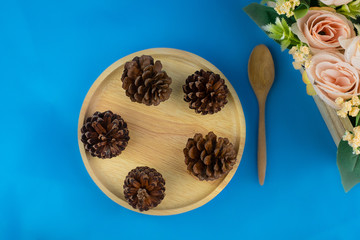 Dry pine cone on wood dish on blue background