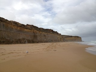Sandy beach footprints Australia