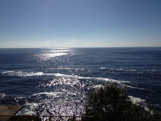 Fototapeta premium Ocean View Coogee Sydney Tasman Sea Australia
