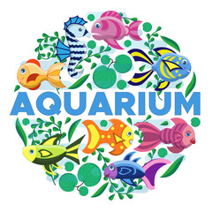 Aquarium. A set of elements. Isolated on white background. Vector illustration.