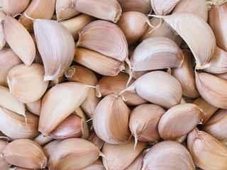 many unpeeled garlic cloves - food background
