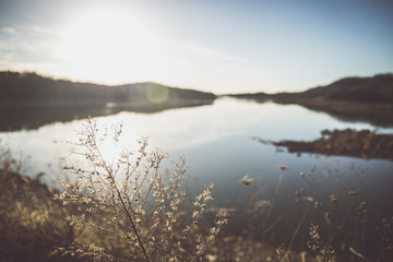 Fototapeta premium Lake Views