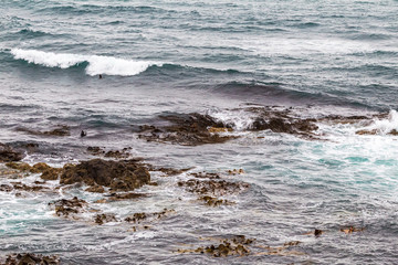 Fototapeta premium Katiki point. Pacific Coast, New Zealand