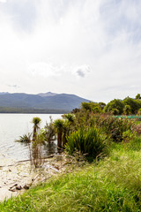 Fototapeta na wymiar On the shores of Lake Te Anau. South Island, New Zealand