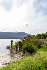 Fototapeta na wymiar Cloudy day at Te Anau lake. South Island, New Zealand