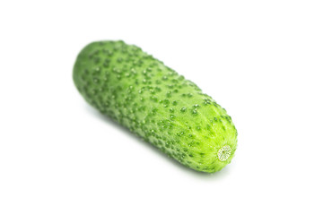 Ripe fresh organic cucumber isolated on white background