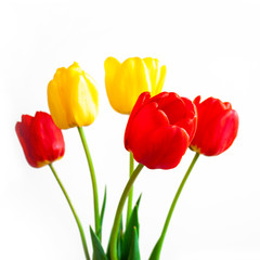 Flowers Bouquet of red and yellow tulips on a white background. Background for cards, greetings, web banner