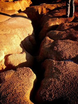 Close-up Of Rocky Surface