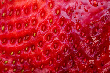 macro detail of the texture of a strawberry