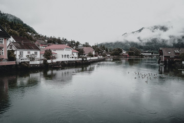 Fototapeta premium Fiordo noruegos, noruega