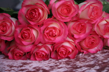 pink roses bouquet