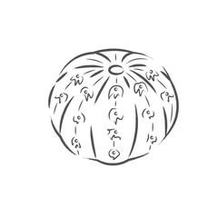 Isolated cactus icon