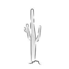 Isolated cactus icon
