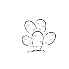Isolated cactus icon