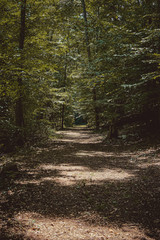 Nature