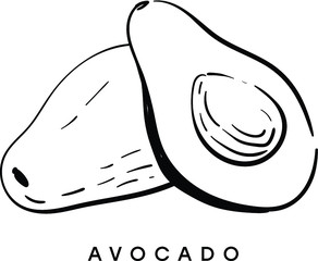 Avocado. Black and white sketch. Vector illustration. Isolated illustration of tropical fruit. Food.