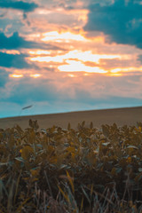 sunset over the mountains