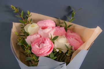 pale pink ranunculus on blue background