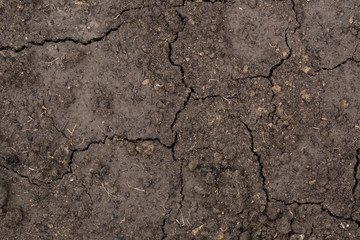 cracked soil background