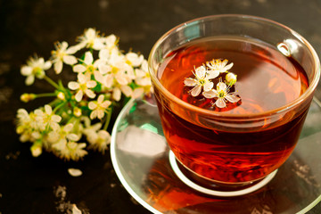 A glass, transparent cup of tea with a sprig of cherry stands on a glass saucer. Spring composition close-up on a black background.