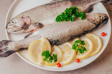 Fresh trout fish with lemon parsley cranberries