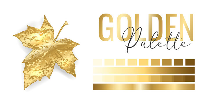 Fashion bright gold metallic color trend. Colour palette with different shades of golden color and gradient. Rich autumn tree leaf on white background. Paint palette mock up. Vector illustration