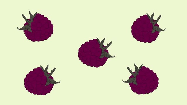 Fresh pink red dancing raspberry background. Funny clip. Hand drawn animation.
