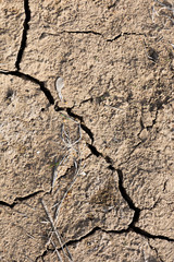 Dried and Cracked ground. Cracked surface. Dry soil in arid areas. Cracks in the ground. Drought concept. View from above. Closeup