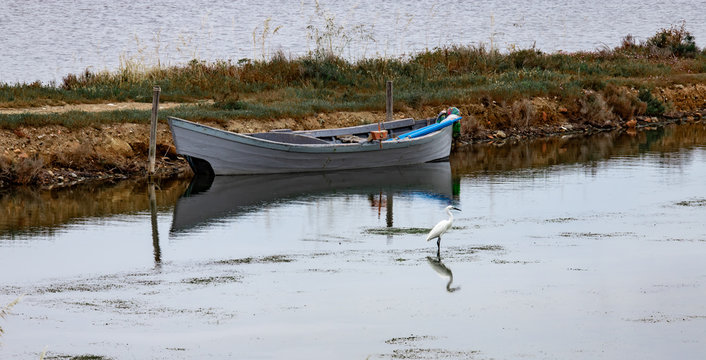 white heron walking in a pond and looking for food near a fishing boat