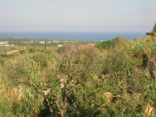 A small fisherman village in the north east of the Tunisia