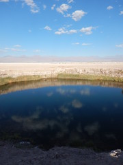 Landscape in altiplano in the north of Chile.