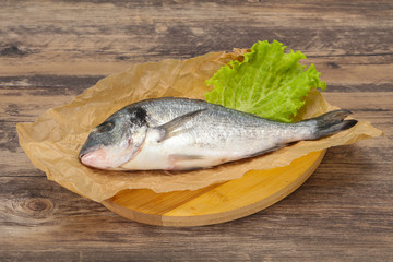 Raw Dorada fish  for cooking