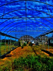Greenhouse Against Blue Sky